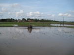 14394IMG_4736.JPG
