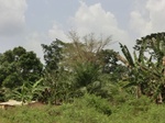 49560CIMG5897.JPG