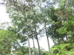 49552CIMG5889.JPG