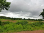 55880CIMG6570.JPG
