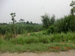 33010CIMG2169.JPG