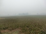 40082CIMG9146.JPG