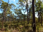 2012-08-28_20-34-45_P1010124.jpg