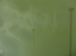 58245CIMG2692.JPG