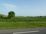 19383P1010230.JPG
