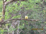 30046IMG_5349.JPG