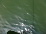 58397CIMG2846.JPG