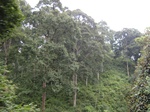 15313IMG_4151.JPG