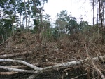 50941CIMG0668.JPG