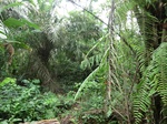 45961CIMG0250.JPG