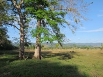 31935IMG_5664.JPG