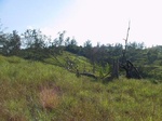 5418091.jpg