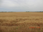 29829CIMG1260.JPG