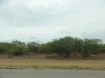 36040DSC02760.JPG