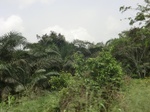 49232CIMG5569.JPG