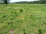 29192CLOU20110602GPS.JPG