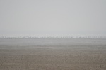 4125IMG_8760.JPG