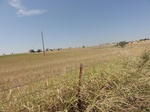34988DSC01890.JPG