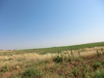 55268CIMG1321.JPG