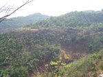 1717420042008(100).JPG