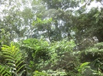 47964CIMG4301.JPG