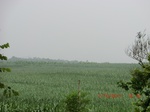 33114CIMG2349.JPG