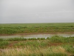 54349DSCN1623.JPG
