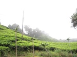 16452IMG_5237.JPG