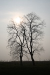 4230IMG_8869.JPG