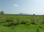 19301P1010147.JPG