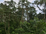 49841CIMG6178.JPG