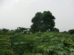 45369CIMG2454.JPG