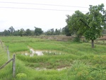 33431RIMG0171.JPG