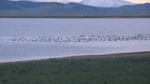 33802CIMG2482.JPG