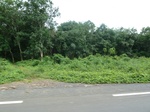 25945P1020364.JPG