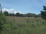 26729IMG_4080.JPG