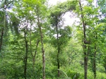 17515100_2772.JPG