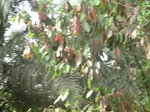 48468CIMG4805.JPG