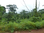 20538P1020395.JPG