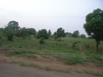 4074RIMG0379.JPG