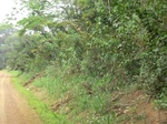 48779CIMG5116.JPG