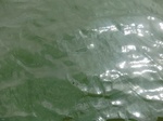 58327CIMG2776.JPG