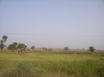 9124RIMG0204.JPG