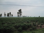 34455IMG_5438.JPG