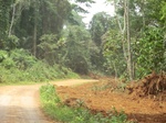 48328CIMG4665.JPG