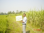 6642gt104-cropland-1.jpg