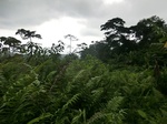 45563CIMG2648.JPG
