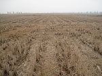 8532IMG_0358.JPG