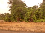 54816Berau (108).JPG