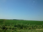 55544IMG_0707.JPG